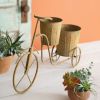 Thornehill Trike Planter