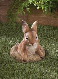 Curious Bunny Garden Decor